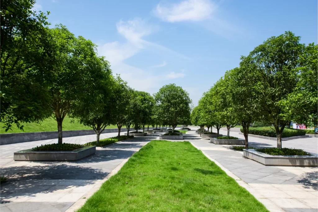 Villa plots and Villas at Rampally